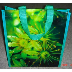 Full Color Printed Non Woven Laminated Bag with Webbing Handles