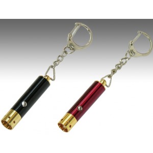 LED Light with Key Chain