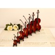 Mini Violin Models